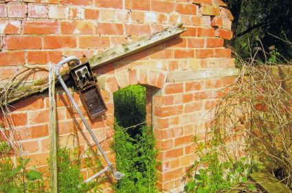Vestiges of the electrical installation in the ruined Pump House