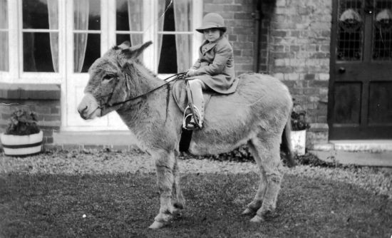 Rosemary Broad pictured outside Somerset House Threapwood