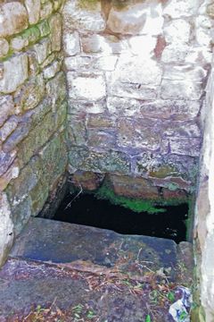 Sarn Spring 